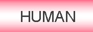 HUMANS